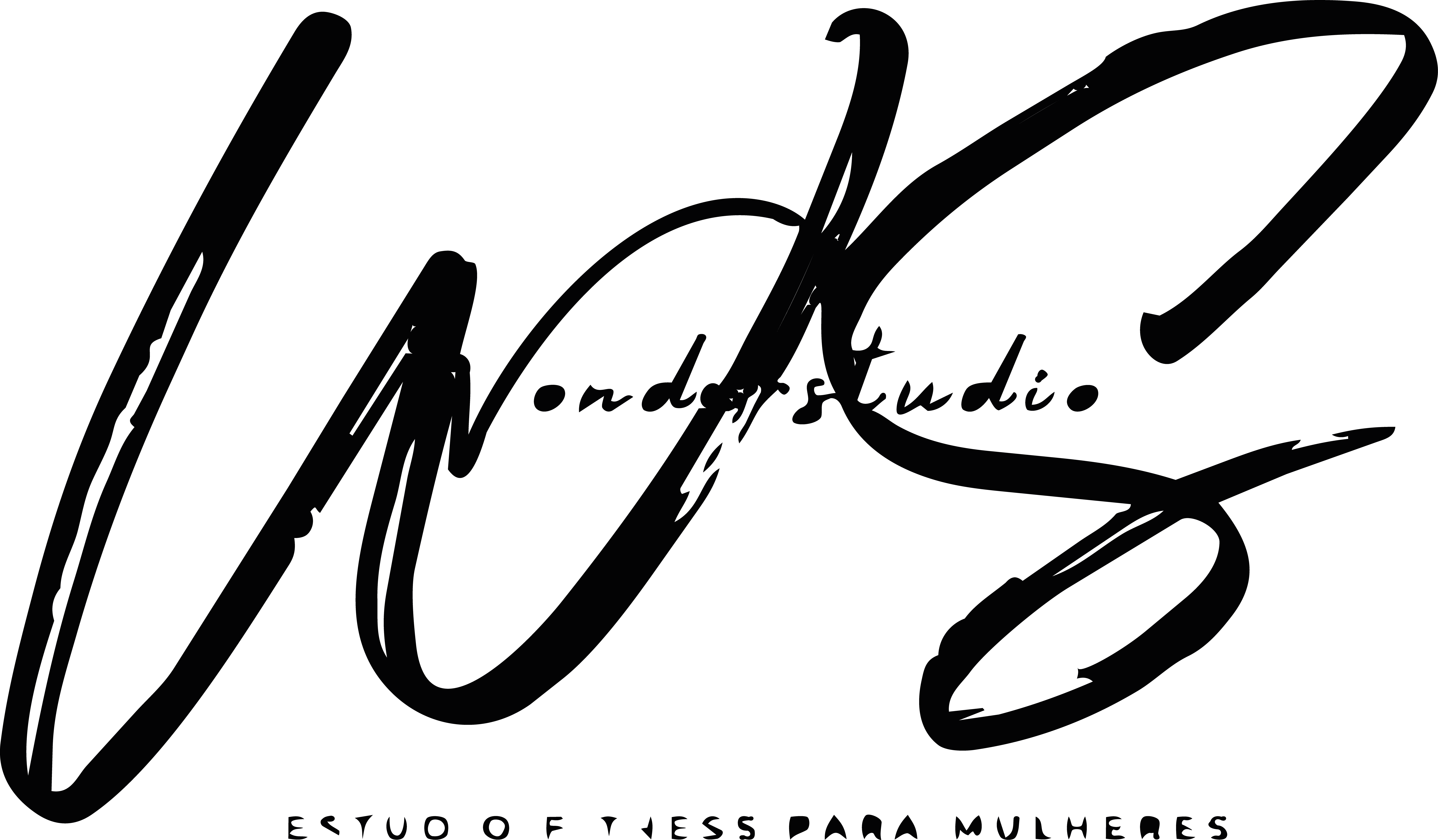 WonderStudio